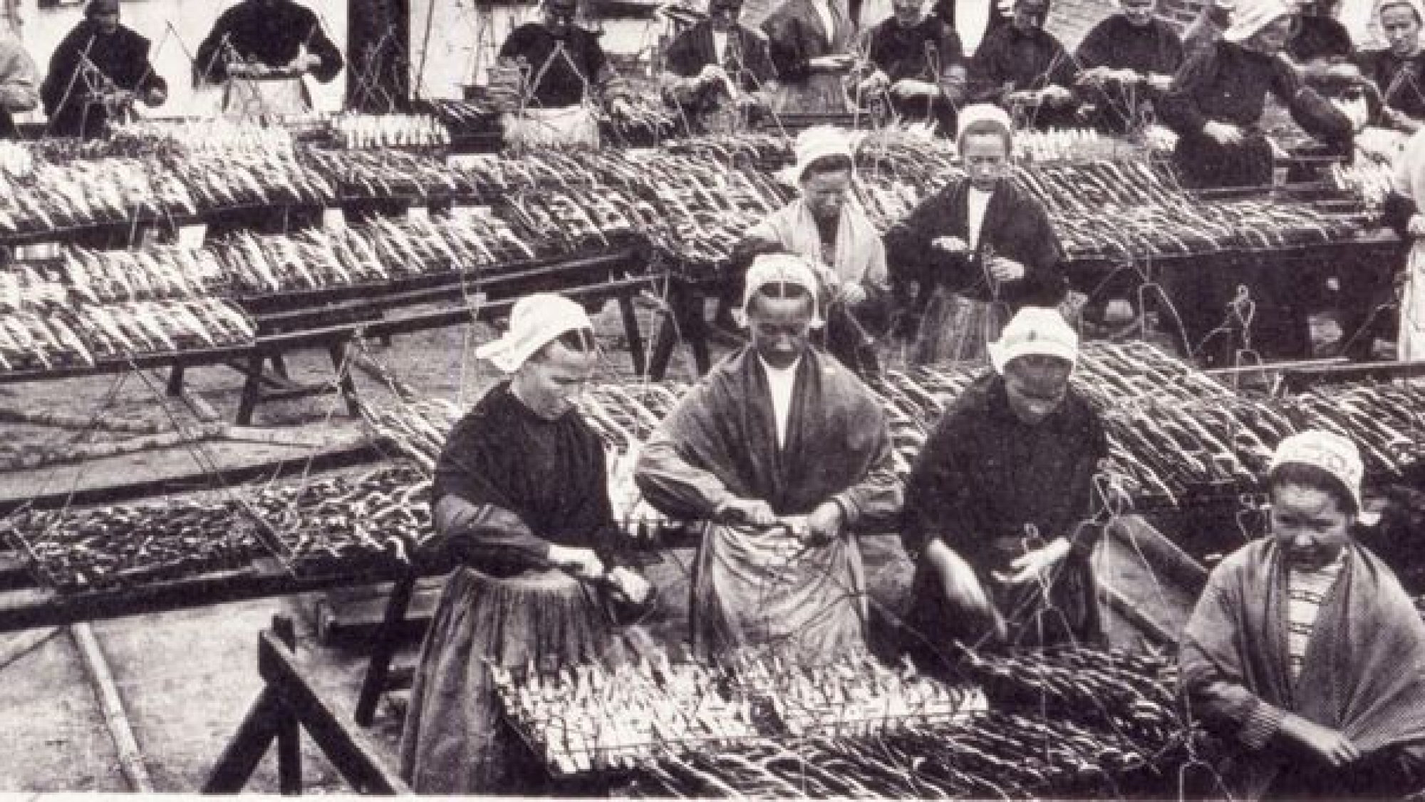 640x340_sc_uhp-penn-sardin-seche-les-sardines-gettyimages-840557968